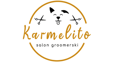 Zabiegi w salonie groomerskim